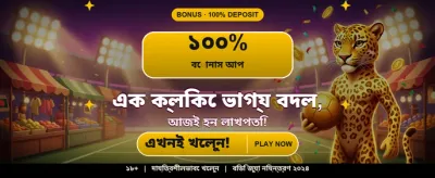 Experience Live Casino